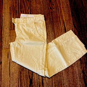 Anthropologie chino capris